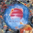 Lightning Seeds Sense Формат: Audio CD (Jewel Case) Дистрибьютор: Virgin Records Ltd Лицензионные товары Характеристики аудионосителей 1992 г Альбом инфо 12812z.