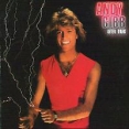 Andy Gibb After Dark Формат: Audio CD Дистрибьютор: Catalogue Лицензионные товары Характеристики аудионосителей 1998 г Альбом: Импортное издание инфо 13119z.